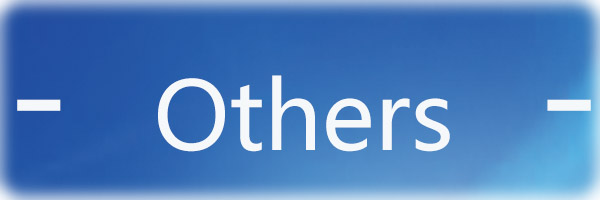 Others 