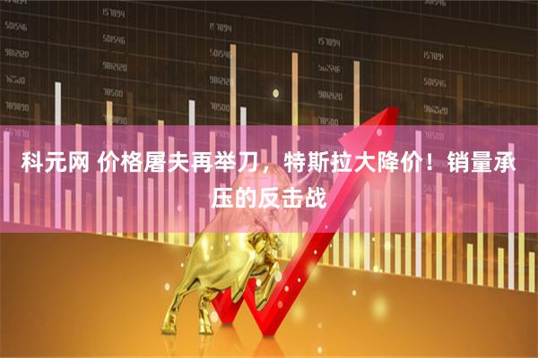 科元网 价格屠夫再举刀，特斯拉大降价！销量承压的反击战