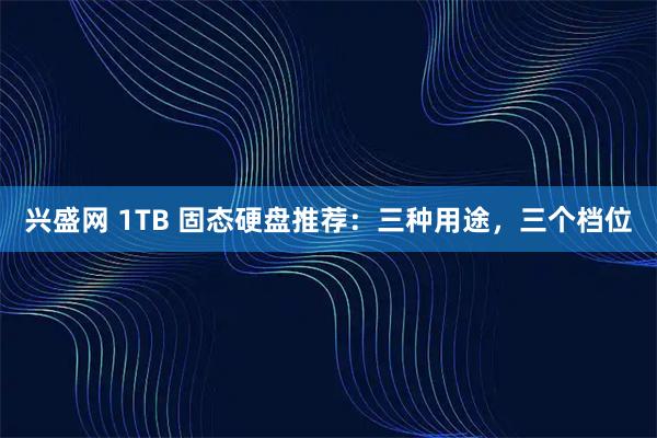 兴盛网 1TB 固态硬盘推荐：三种用途，三个档位