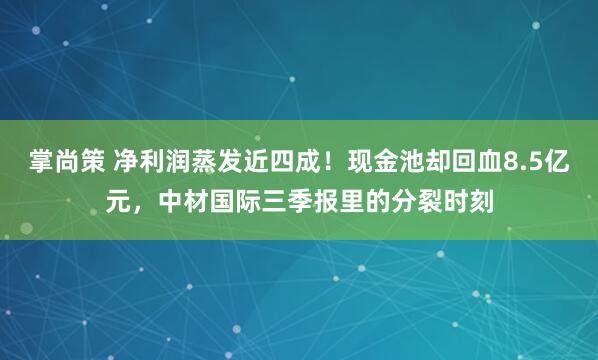 掌尚策 净利润蒸发近四成！现金池却回血8.5亿元，中材国际三季报里的分裂时刻
